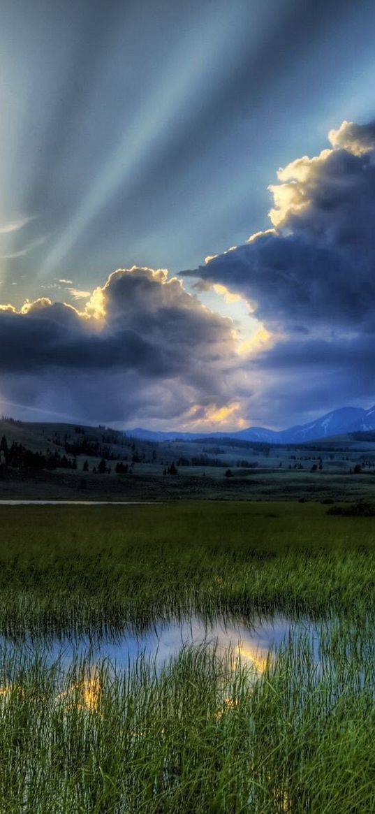 sun, beams, clouds, mountains, bog, canes, sky