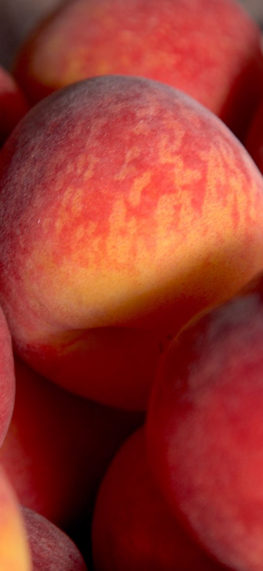 peaches, fruits, macro