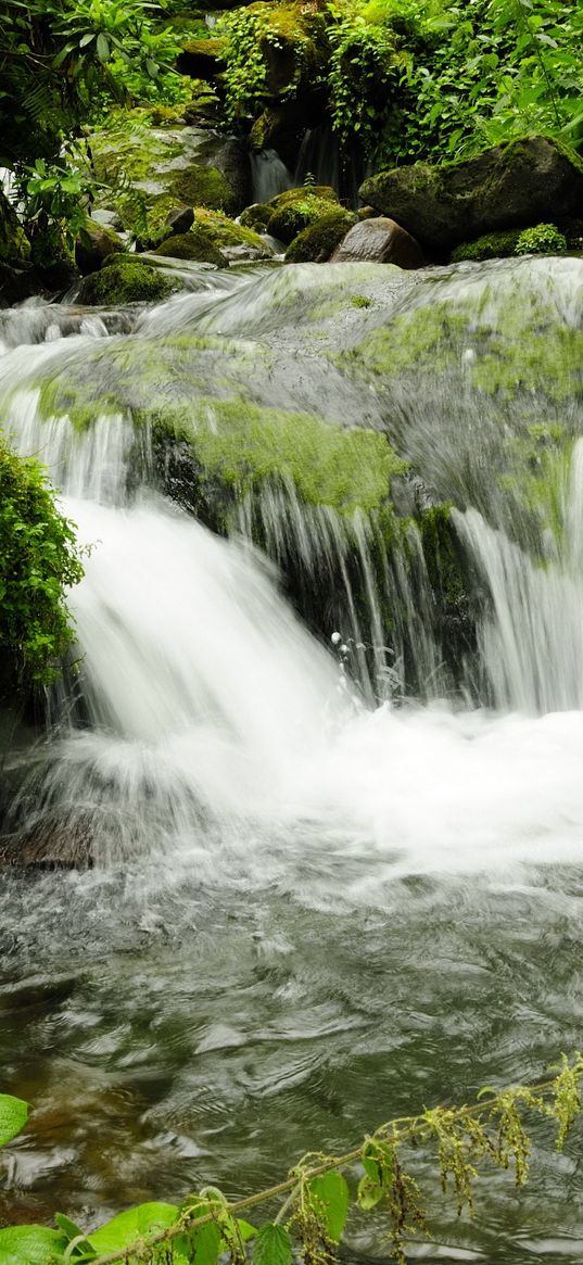 falls, georgia, park, mtirala adjara, nature