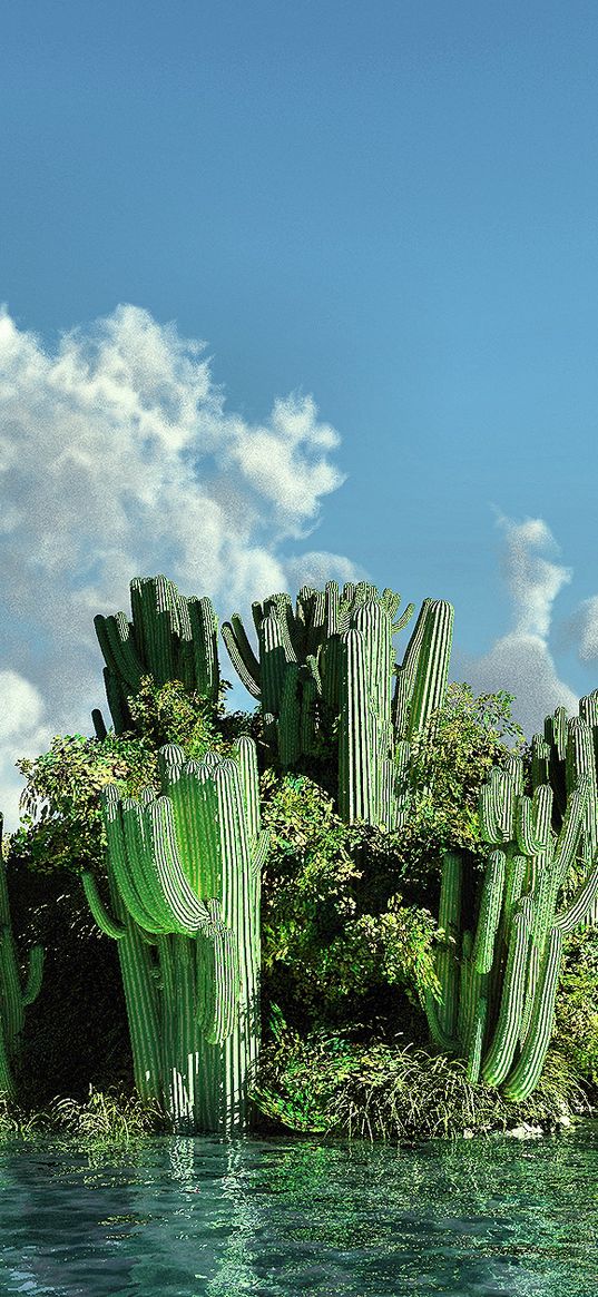 sea, island, cactus