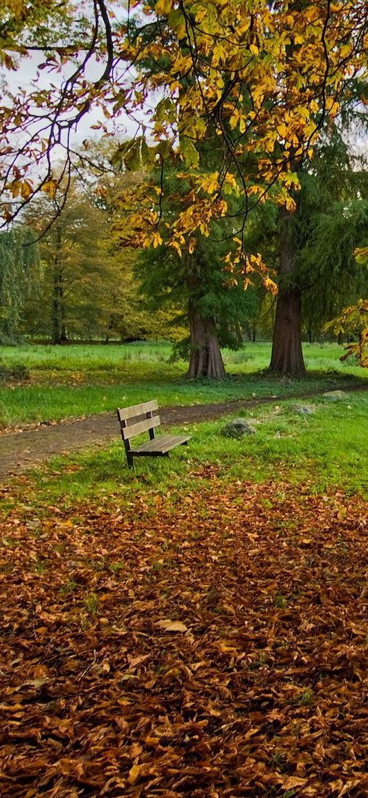 fall, pond, shop, nature