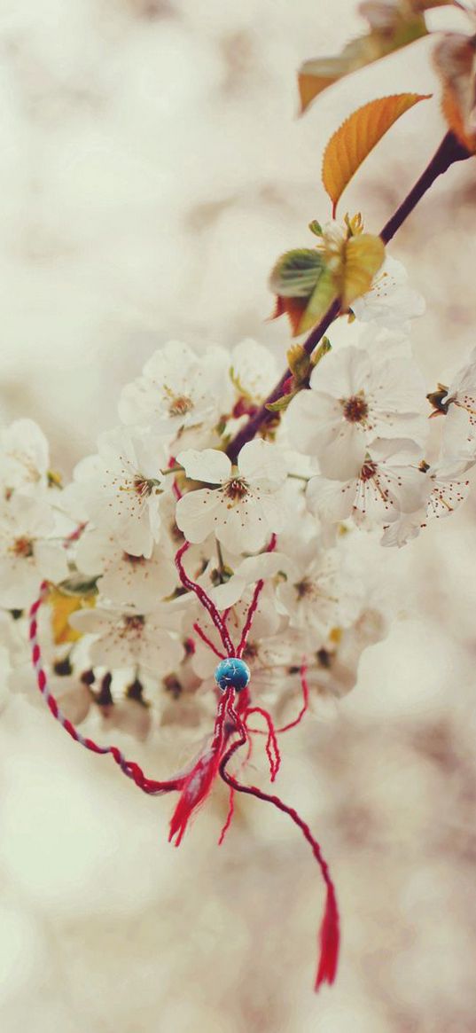 branch, cherry, magic, knot, spring, macro