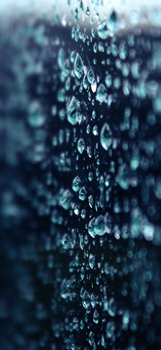 rain, bokeh, macro, drops