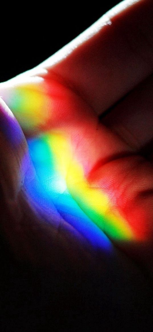 macro, rainbow, palm, hand