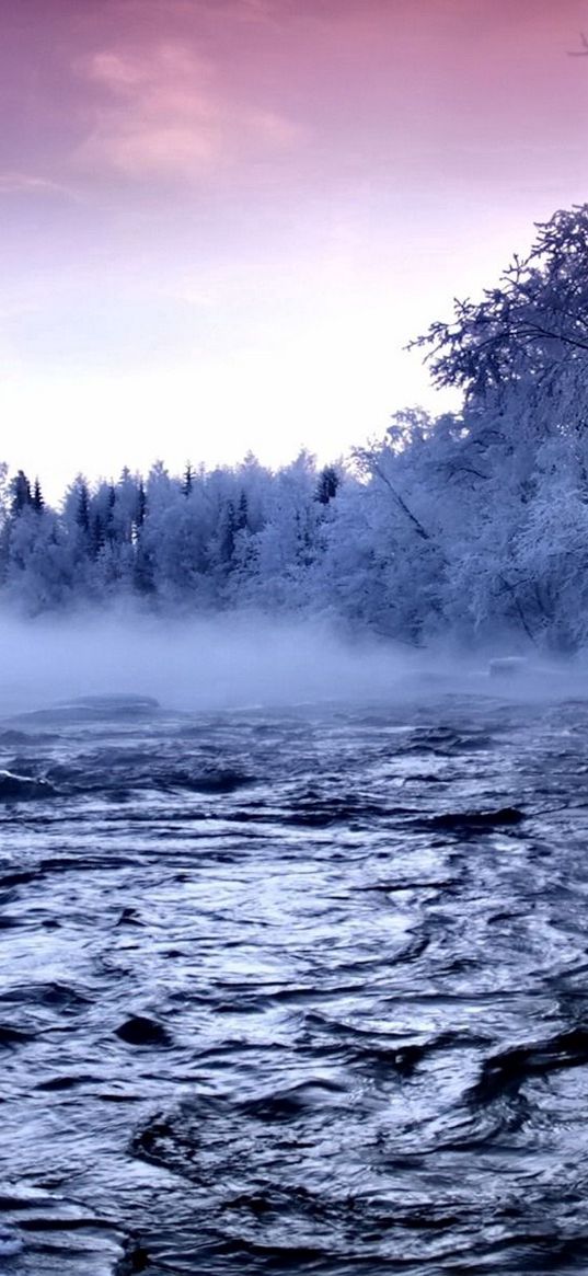 river, ice, trees, fog, current, hoarfrost, water, winter