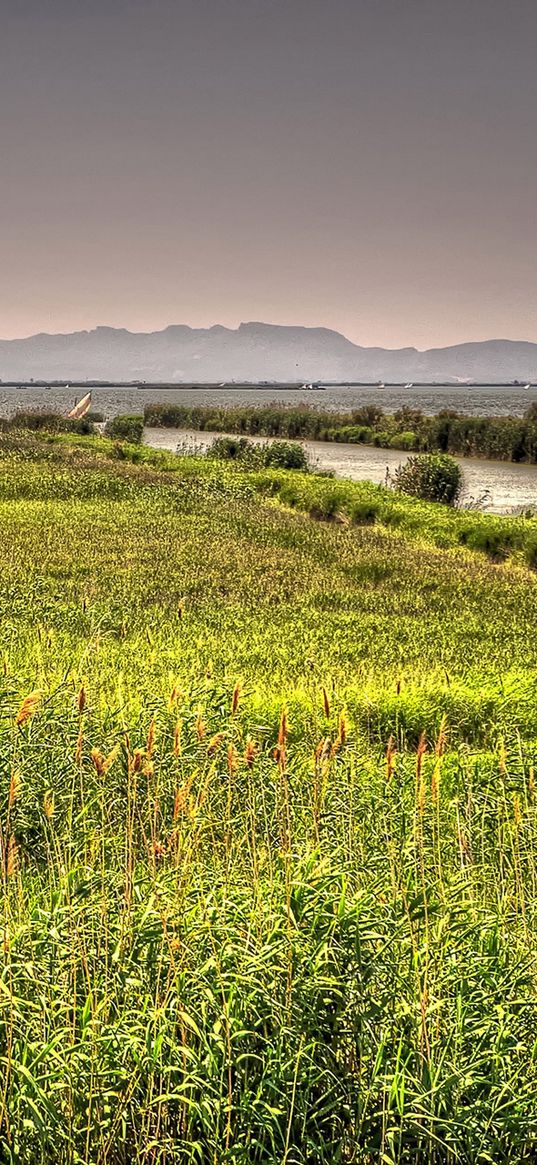 valencia, spain, river, lake, grass, landscape