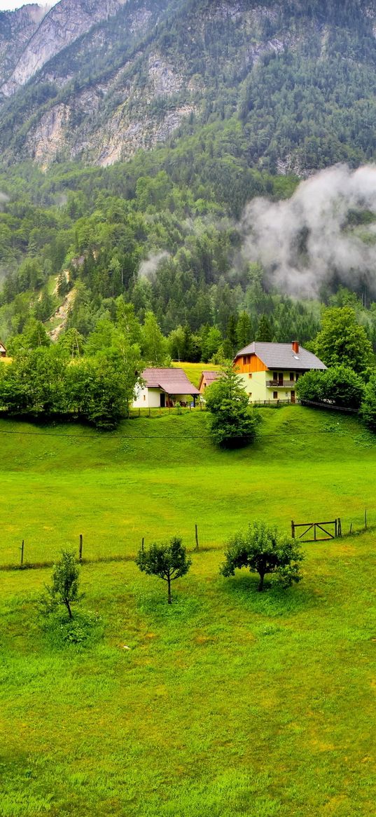 trees, mountains, forest, slovenia