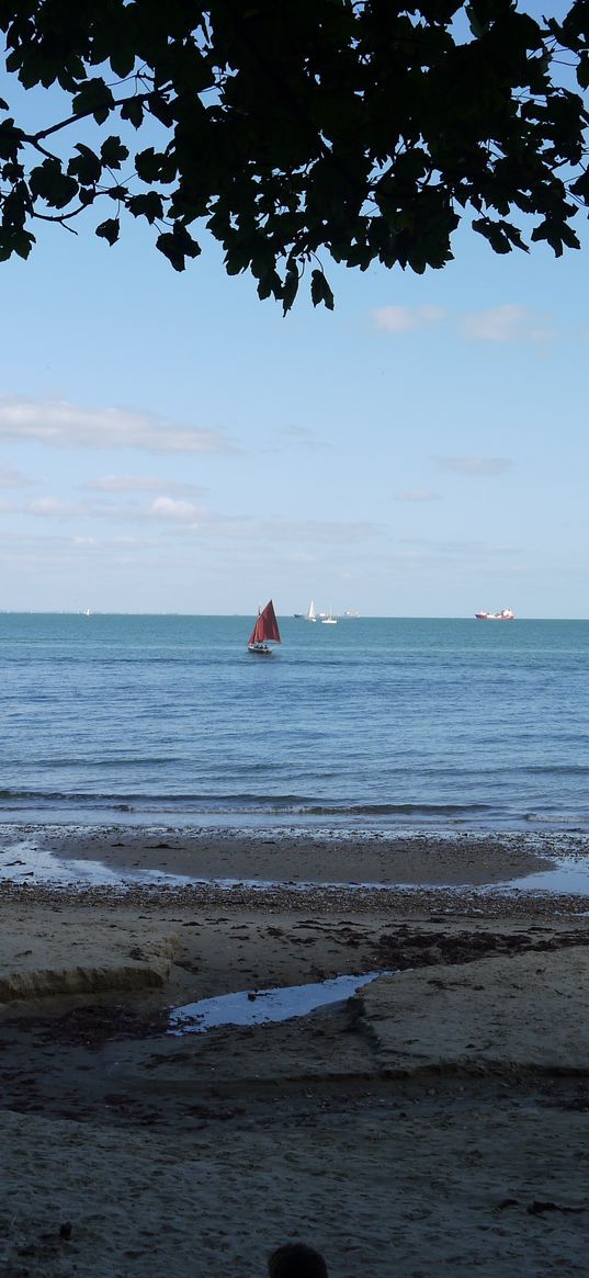 sea, shore, branches, landscape