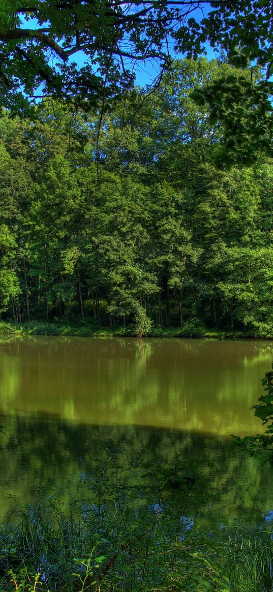 river, germany, trees, nature