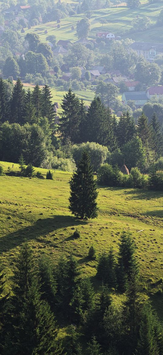 ukraine, transcarpathian region, mezhgorsky district pylypets