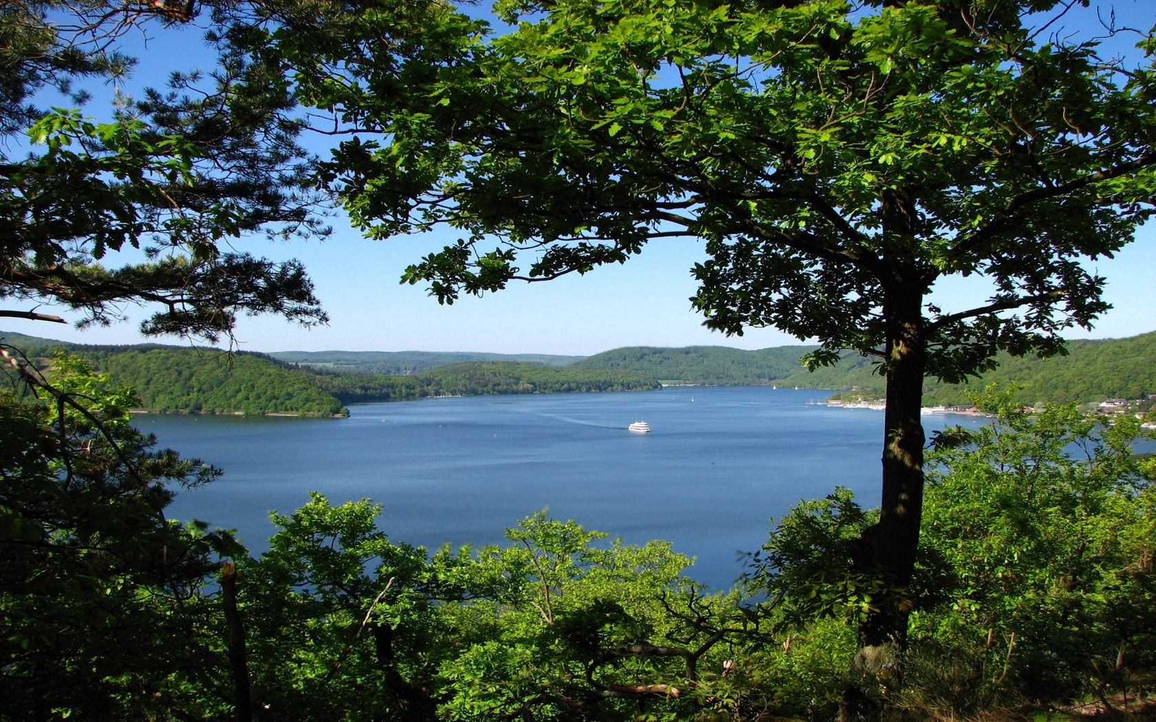 trees, branches, islands, coasts, yacht, sea