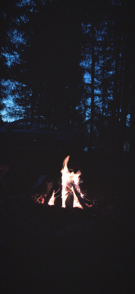 bonfire, fire, firewood, chairs, trees, forest, car, night