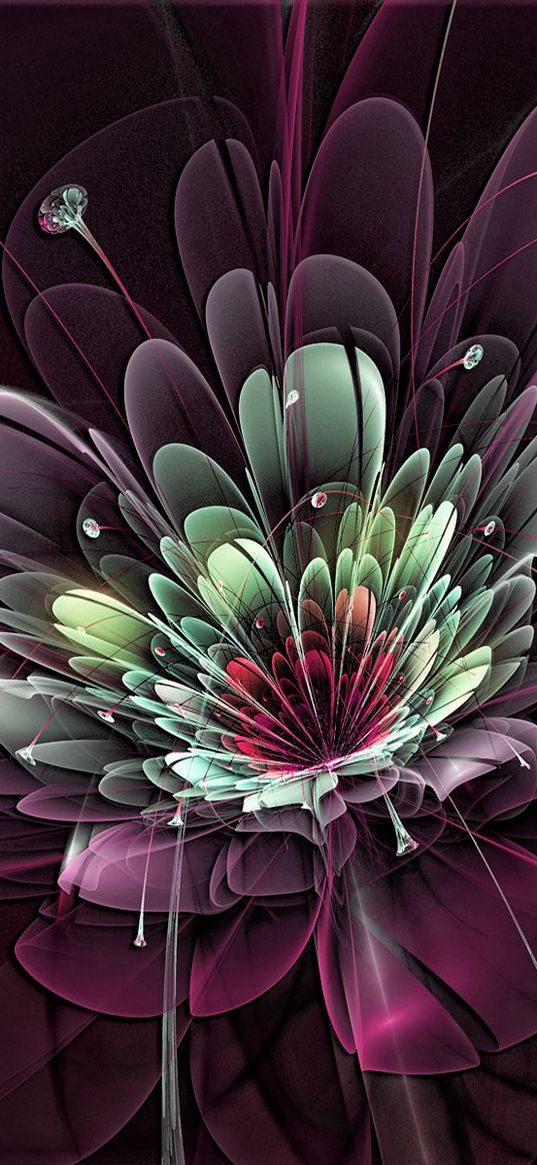 flower, burst, background, fractal