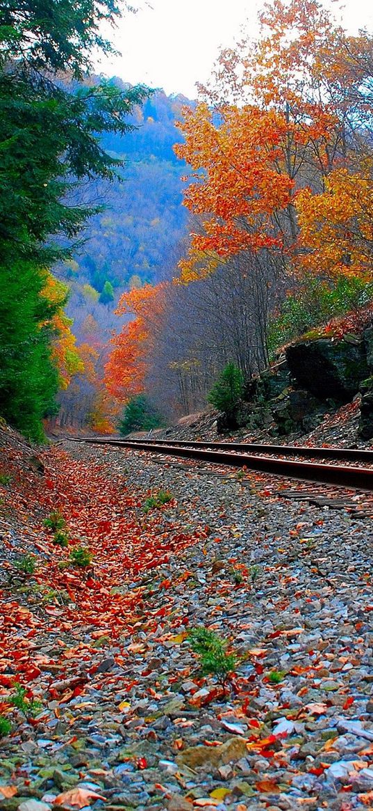 railroad, sky, grass, autumn