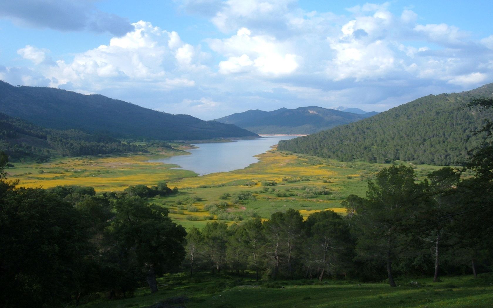 mountains, river, valley, trees, greens, sky