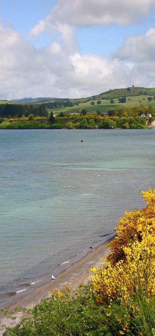 river, shore, sky, grass