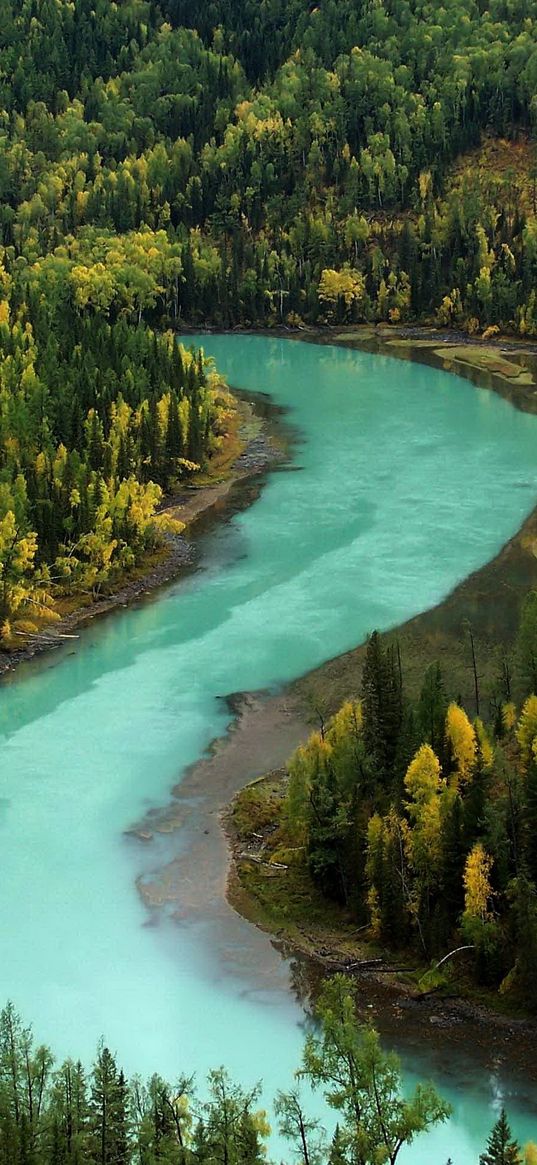 wood, autumn, river, bends, blue water, mountains