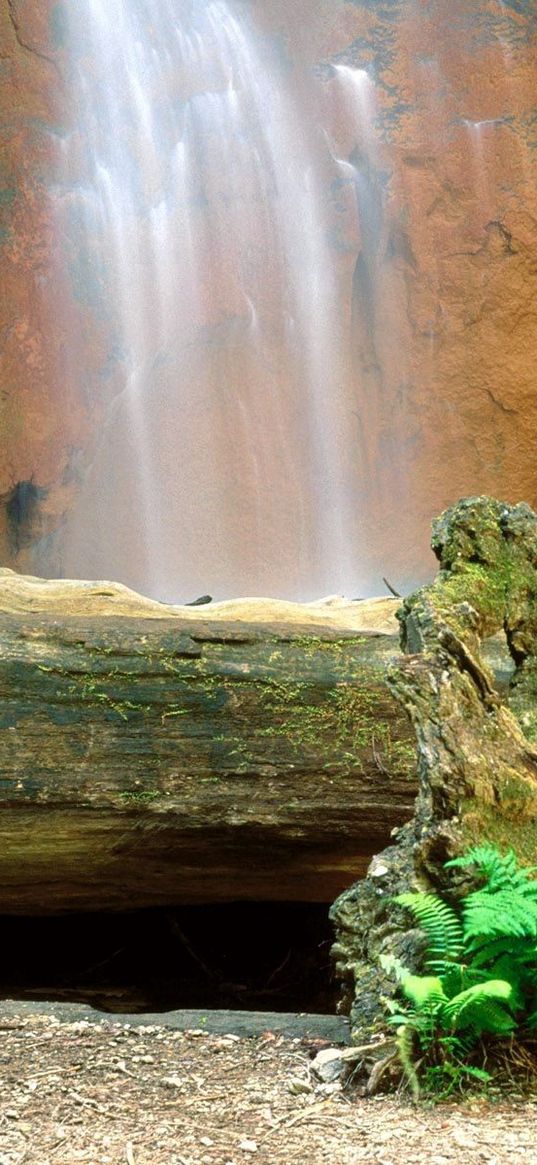 falls, logs, trees, rocks, berry creek, california