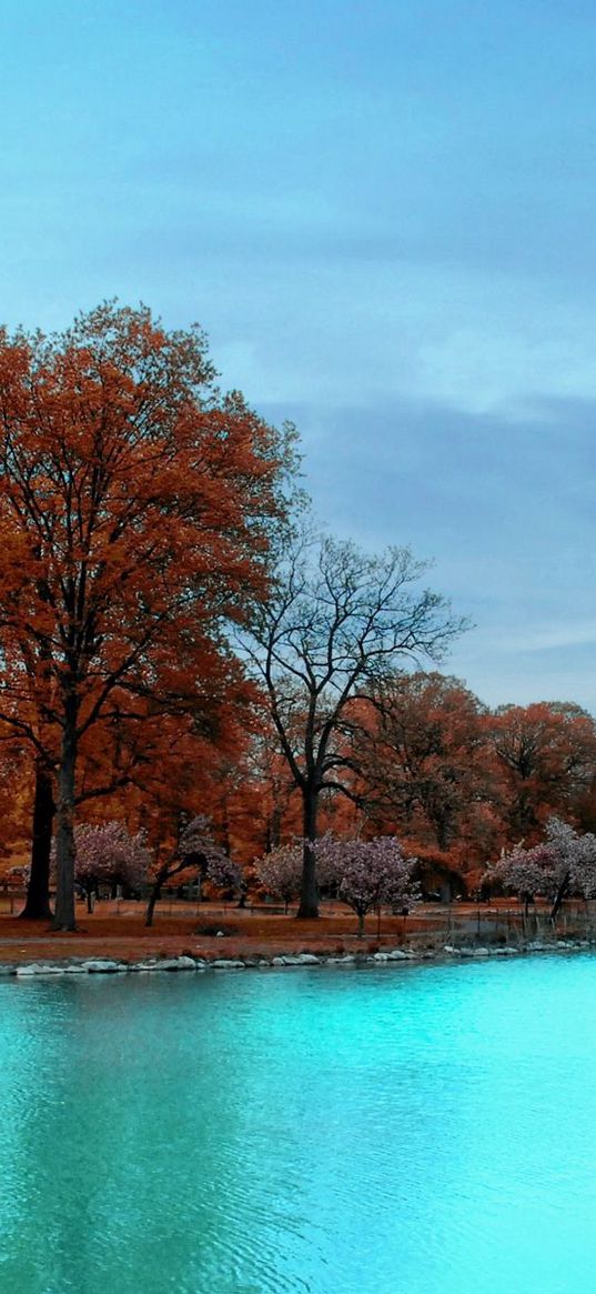 autumn, park, trees, blue water