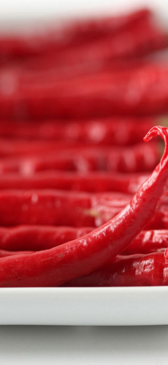 red, chili pepper, hot pepper, hot, close-up