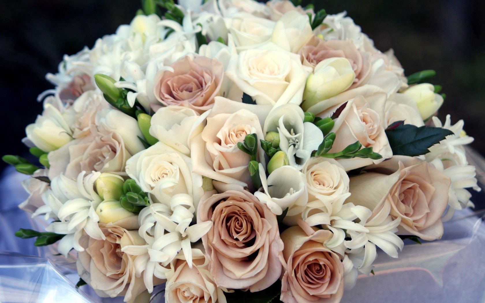 bouquet, arrangement, rose, freesia, flowers