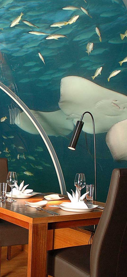 maldives, tropical, underwater restaurant