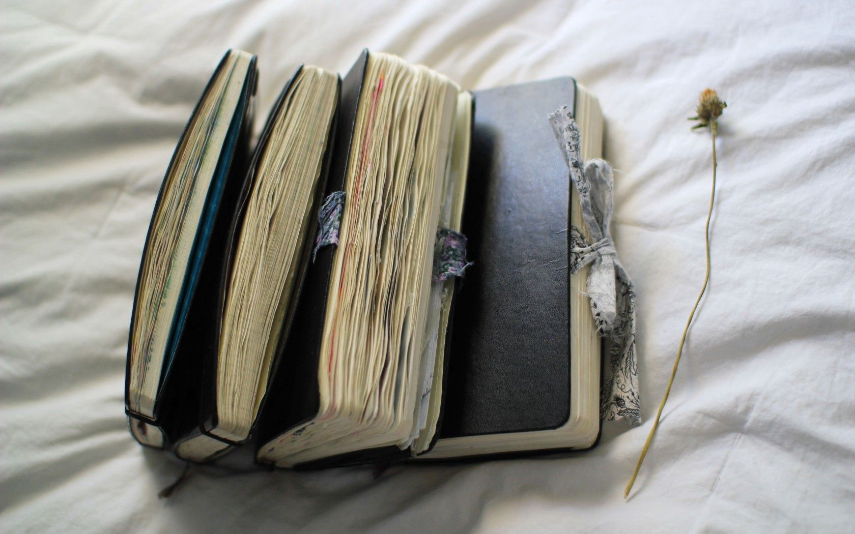 mood, book, diary, pages, lists, ribbon, plant, flower