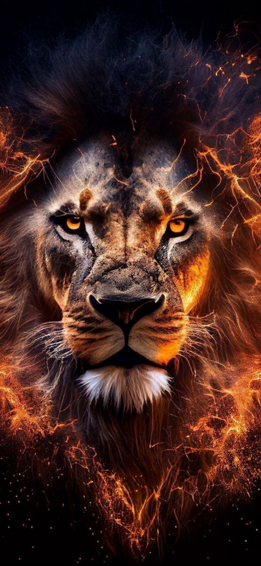 lion, predator, fire, art