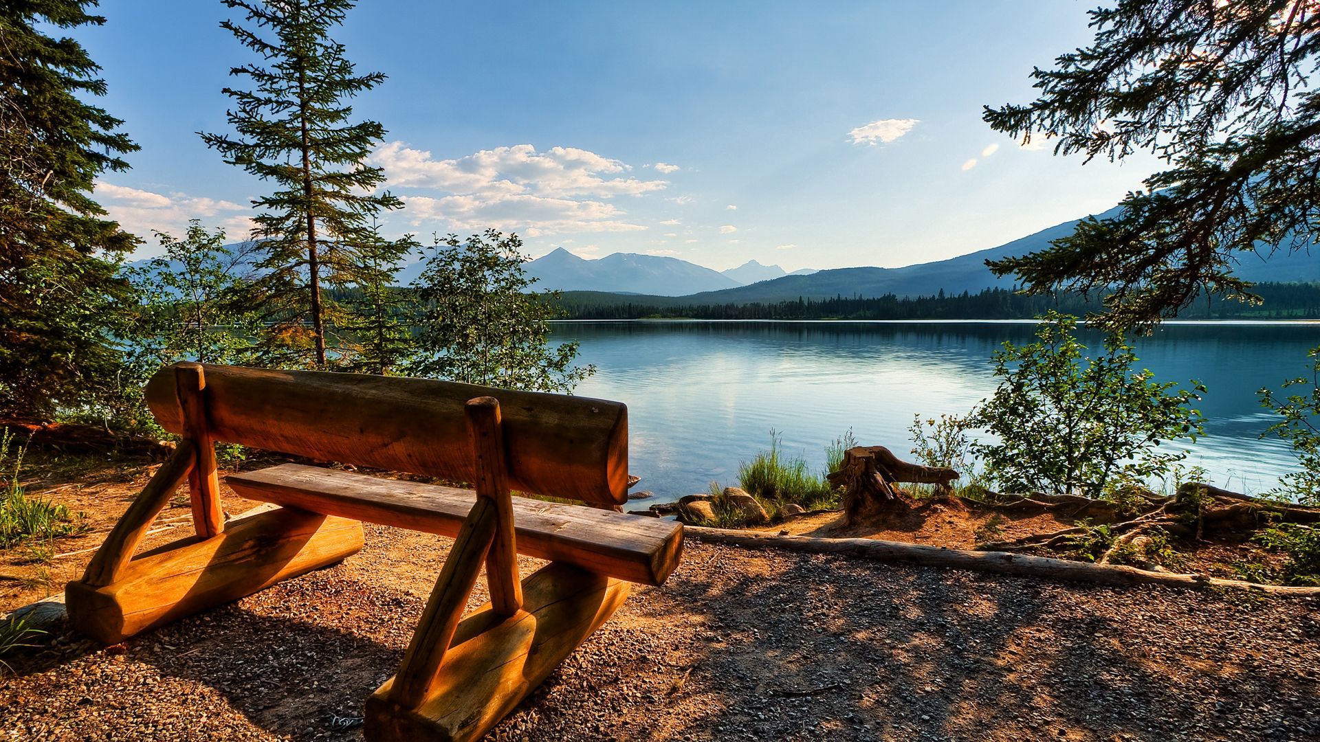 bench, logs, lake, coast, trees