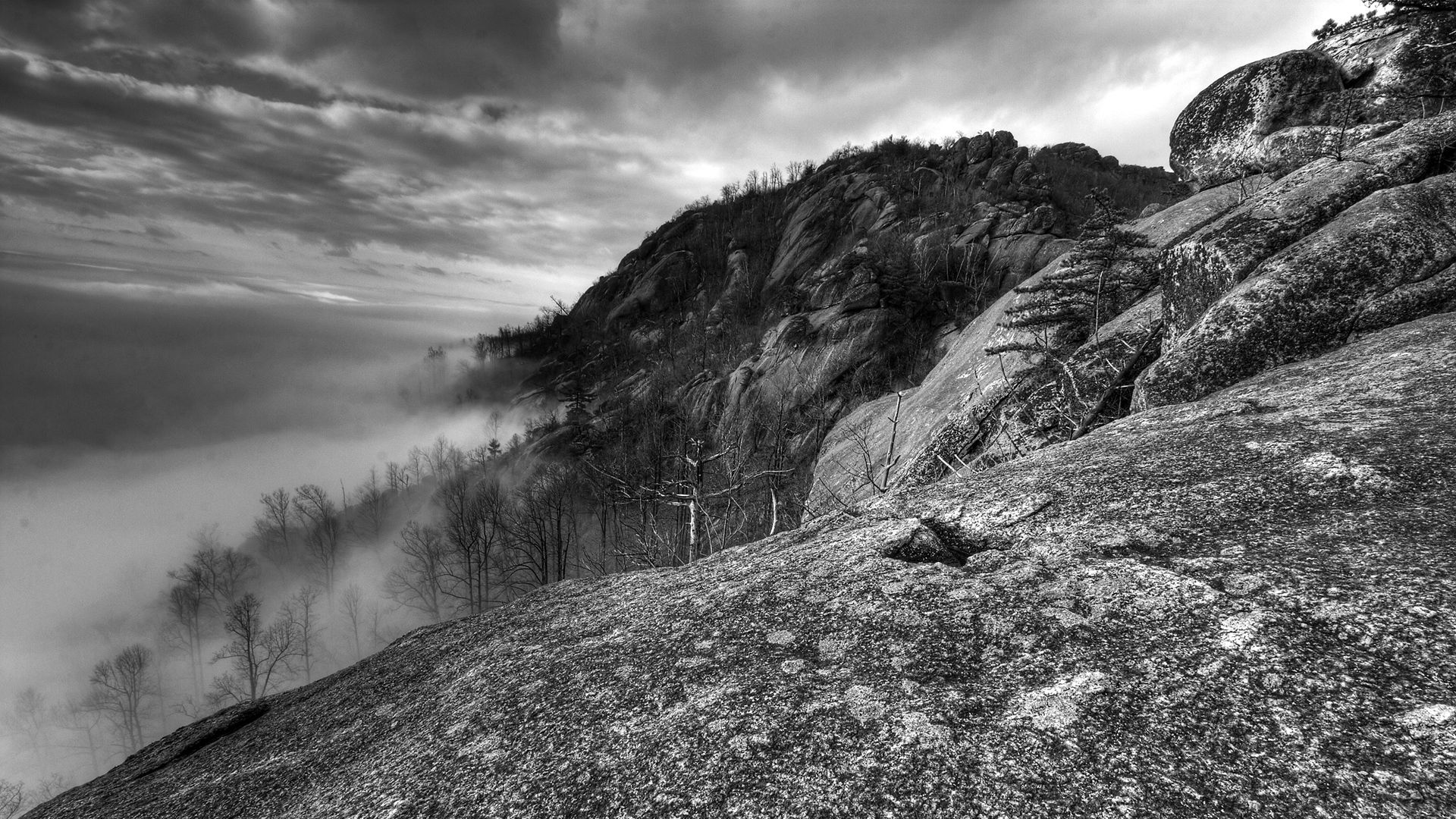 mountains, rocks, trees, fog, black-and-white