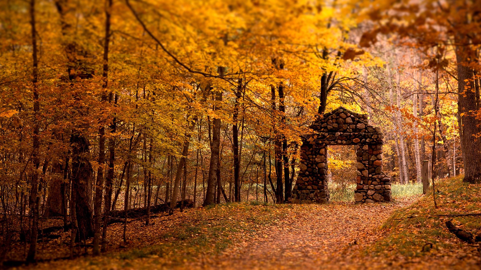 wall, aperture, wood, stones, autumn, leaves, trees