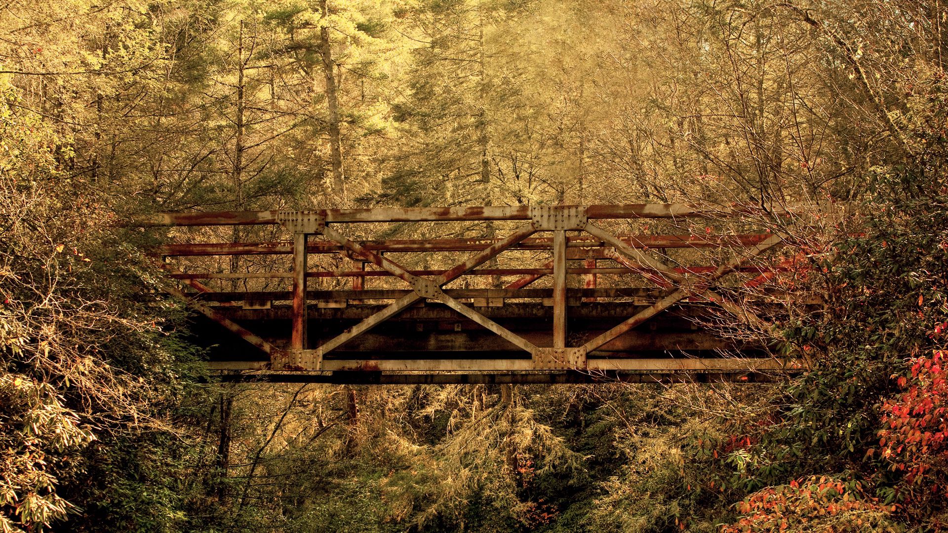 bridge, wood, trees, crossbeams