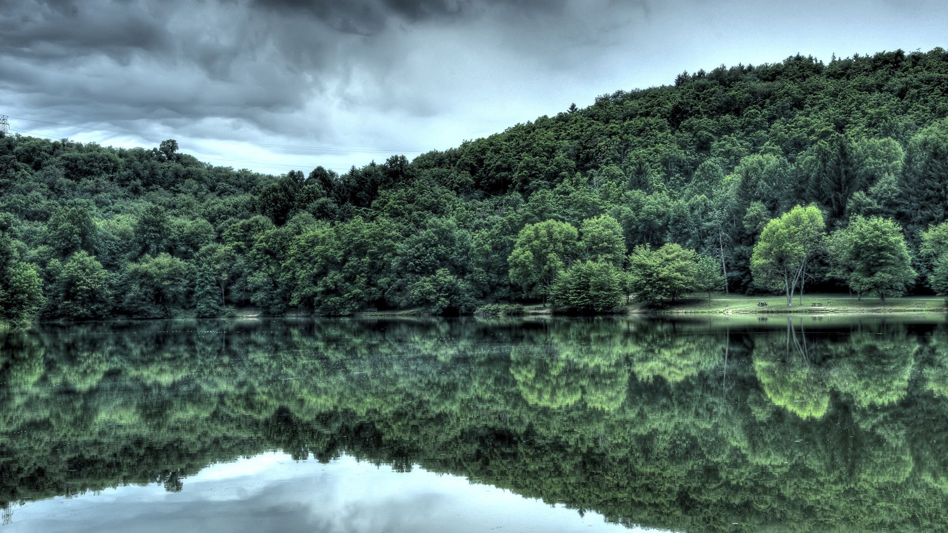 wood, trees, coast, clouds, summer, reflexion, mirror