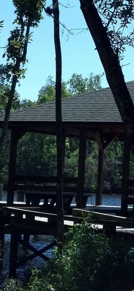 nature, dock, trees