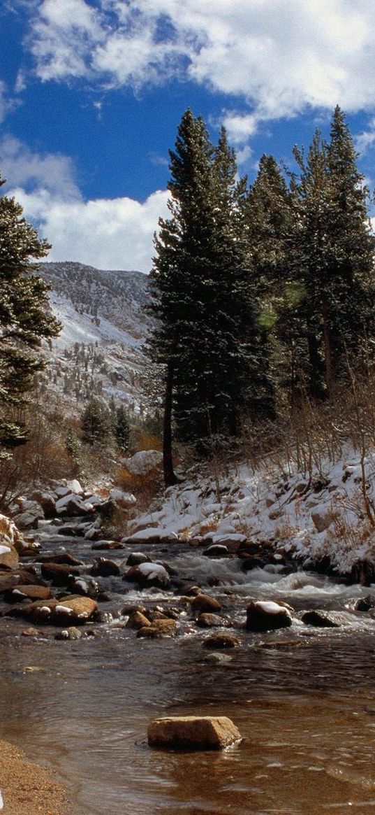 california, mountain river, stones, trees, current