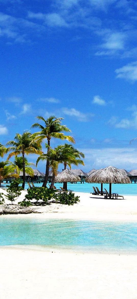 bora bora, island, palm trees, gulf, transparent water, huts