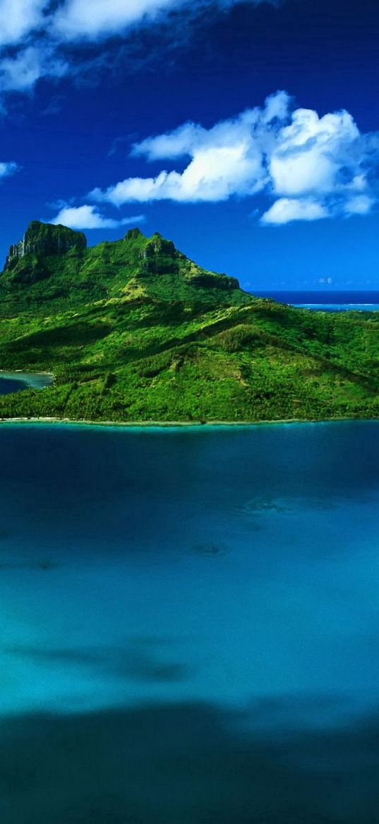 bora bora, island, sea, greens, land