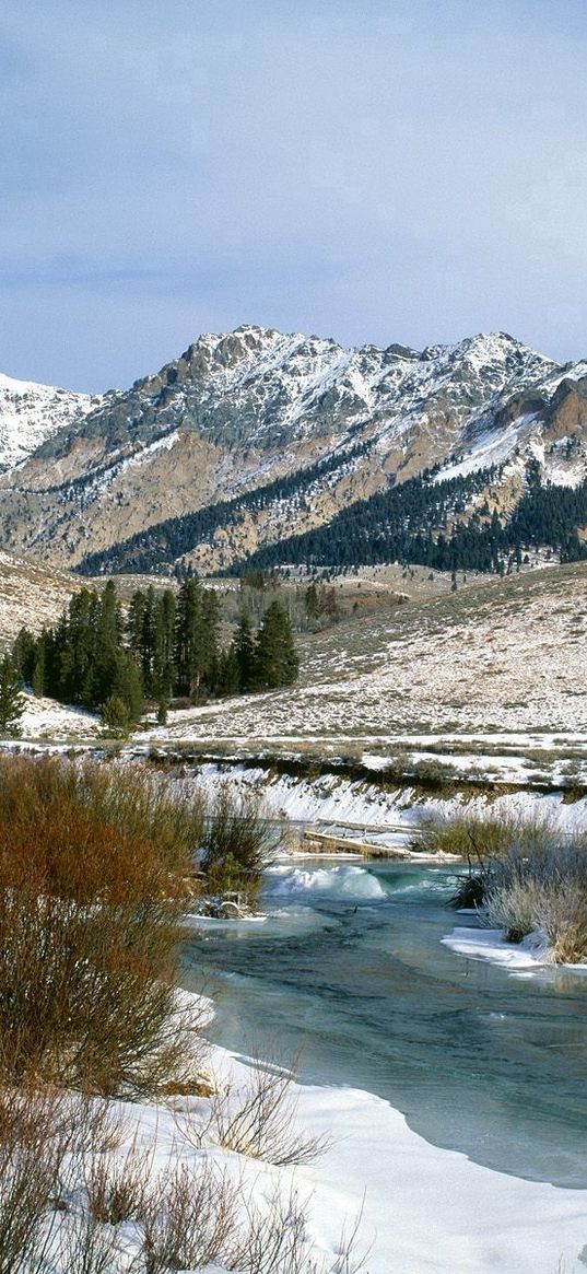 mountains, bushes, spring, snow, water, idaho