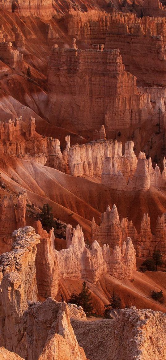 canyons, national park, vegetation, utah