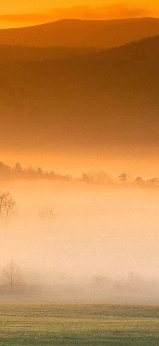 fog, mountains, plain, veil, trees, haze, tenessee