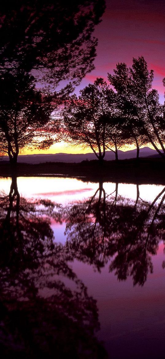 santa clarita, california, trees, lake, reflexion