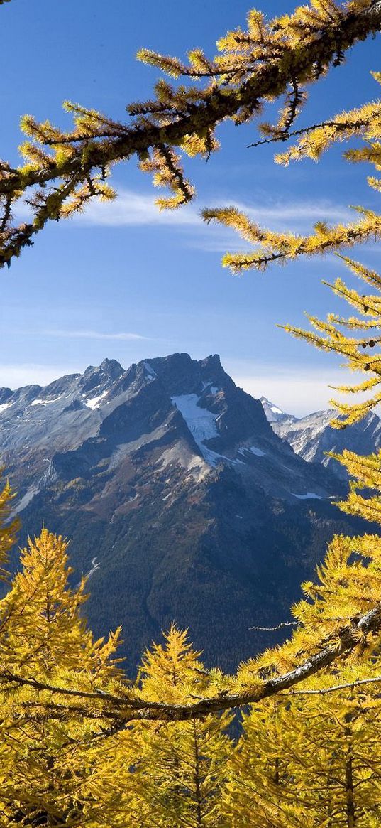 trees, mountains, autumn, washington