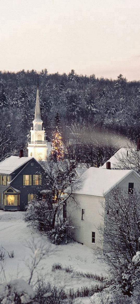 new england, snow, winter, structures, trees