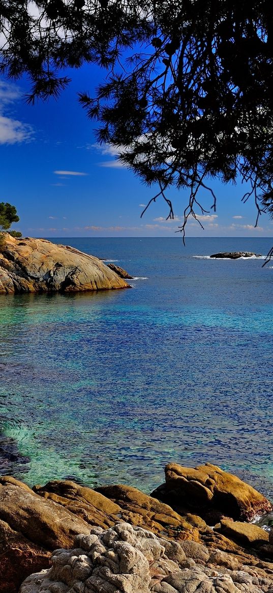 costa brava, catalonia, spain, mediterranean sea, rocks, branches, coast