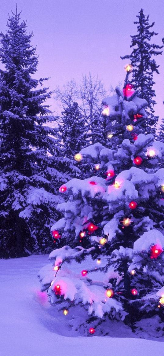 wood, new year, christmas, fur-tree, fires, garland, snow, winter, sky, moon, evening