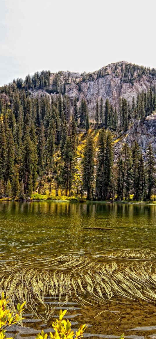 lake, mountain, forest, autumn landscape