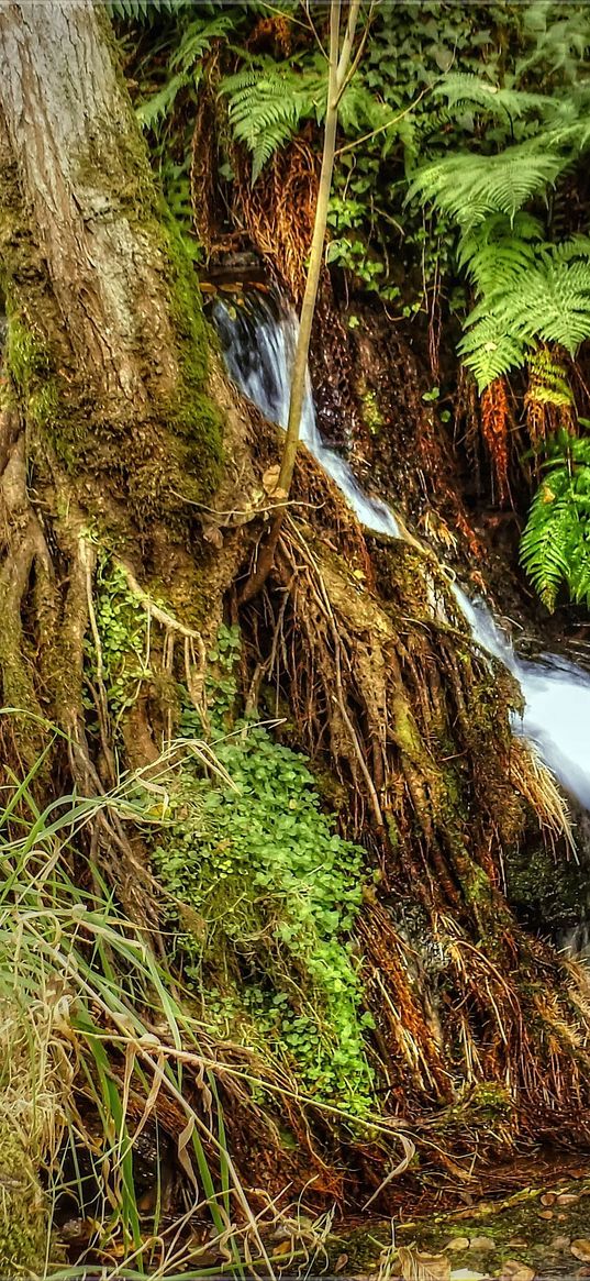 river, creek, nature