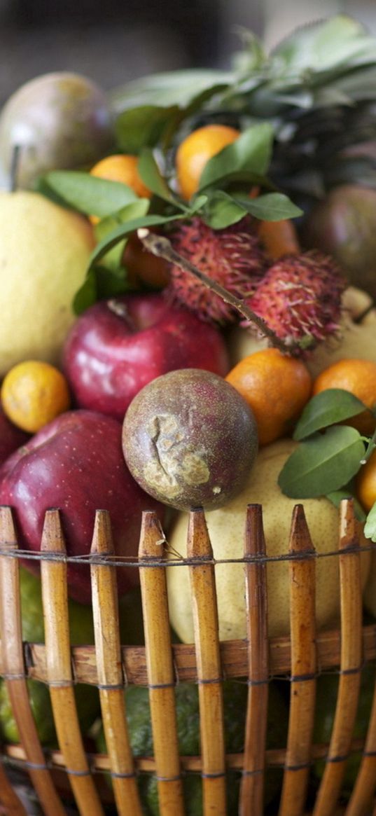 fruit, basket, food, appetizing