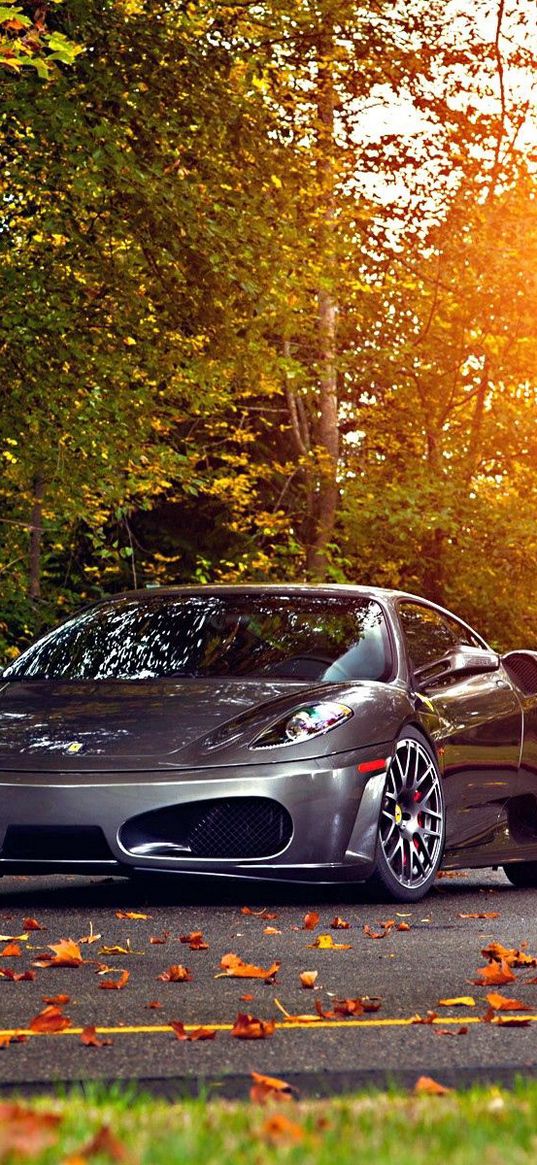 ferrari, 430, scuderia, park, autumn, auto