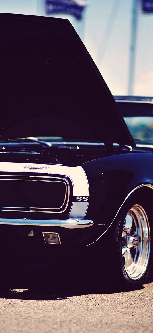 american cars, muscle, stylish, car